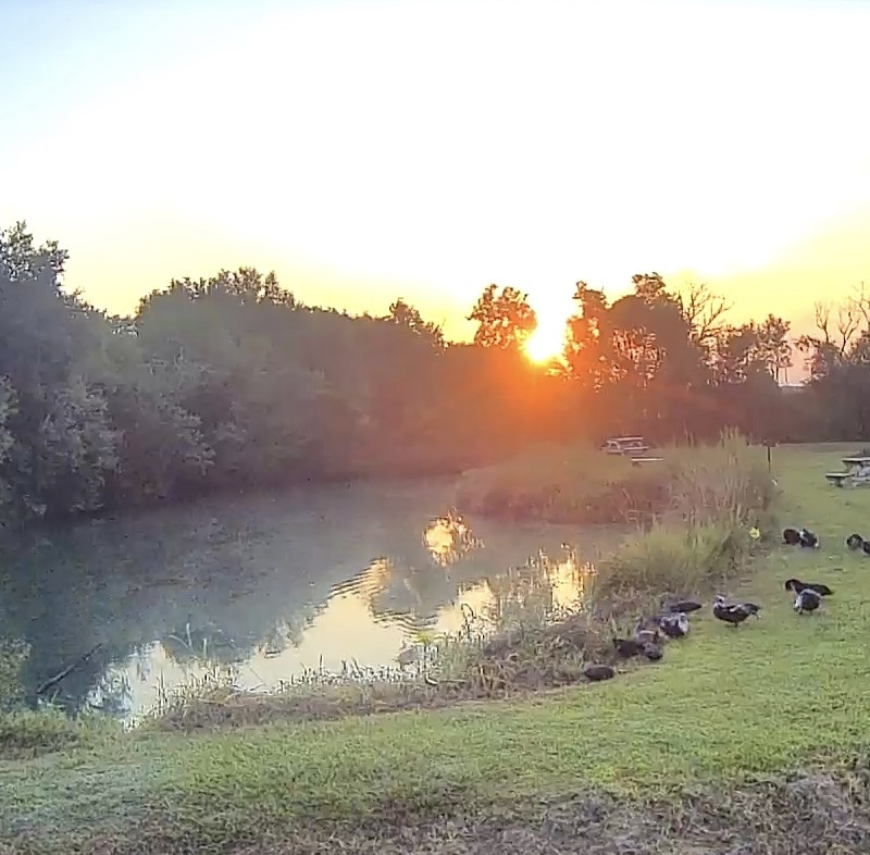 pond pic